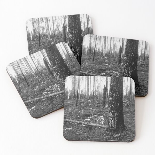 Item preview, Deliberate burning. Seitseminen 2024 2 bw designed and sold by Jouko Lehto Photography.