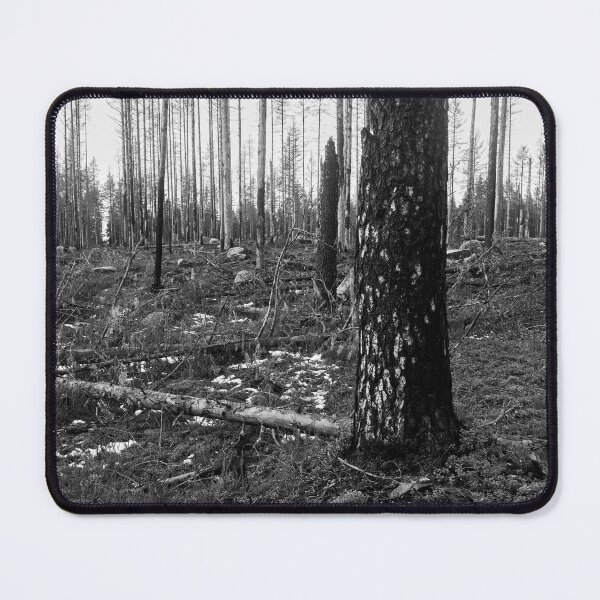 Item preview, Deliberate burning. Seitseminen 2024 2 bw designed and sold by Jouko Lehto Photography.