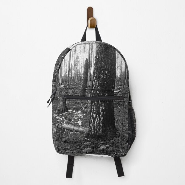 Item preview, Deliberate burning. Seitseminen 2024 2 bw designed and sold by Jouko Lehto Photography.