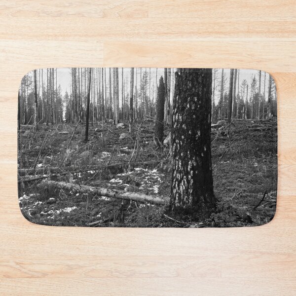 Item preview, Deliberate burning. Seitseminen 2024 2 bw designed and sold by Jouko Lehto Photography.