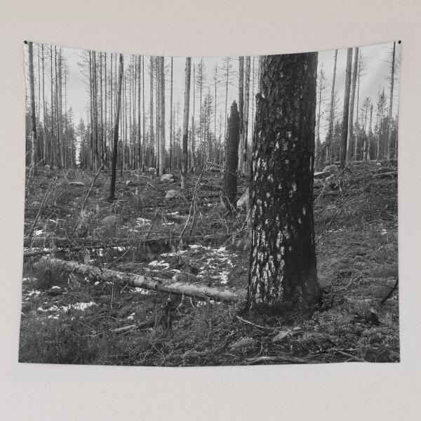 Item preview, Deliberate burning. Seitseminen 2024 2 bw designed and sold by Jouko Lehto Photography.