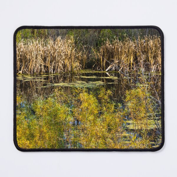 Item preview, Scenes of fall designed and sold by CanadianWild418.