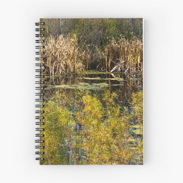 Item preview, Scenes of fall designed and sold by CanadianWild418.