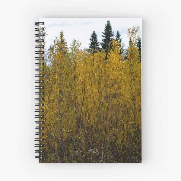 Item preview, Fall scenery designed and sold by CanadianWild418.