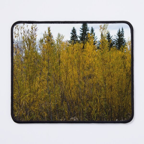 Item preview, Fall scenery designed and sold by CanadianWild418.