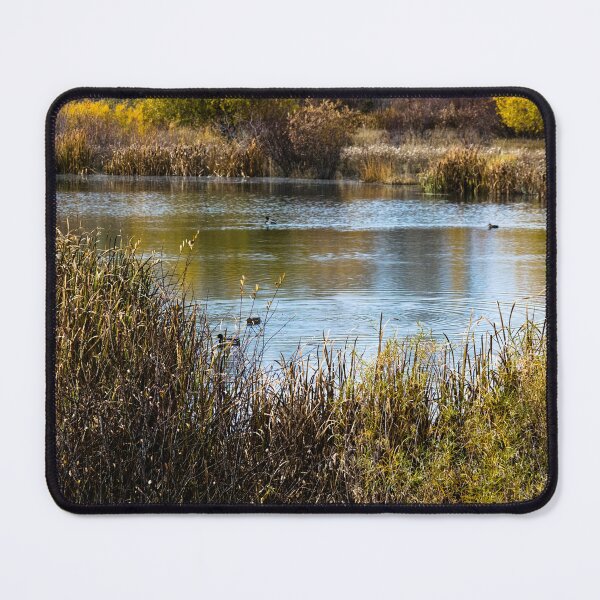 Item preview, Fall view of the pond with ducks designed and sold by CanadianWild418.