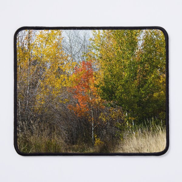 Item preview, Fall hike designed and sold by CanadianWild418.
