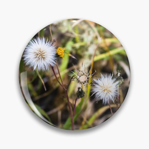 Item preview, Plant life beside the trail designed and sold by CanadianWild418.