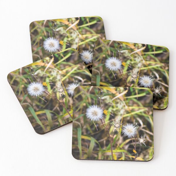 Item preview, Plant life beside the trail designed and sold by CanadianWild418.