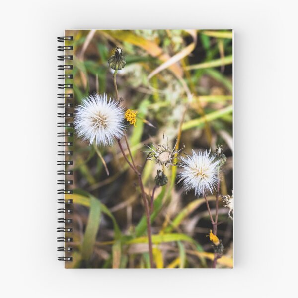 Item preview, Plant life beside the trail designed and sold by CanadianWild418.