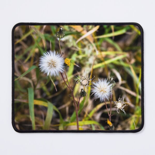 Item preview, Plant life beside the trail designed and sold by CanadianWild418.