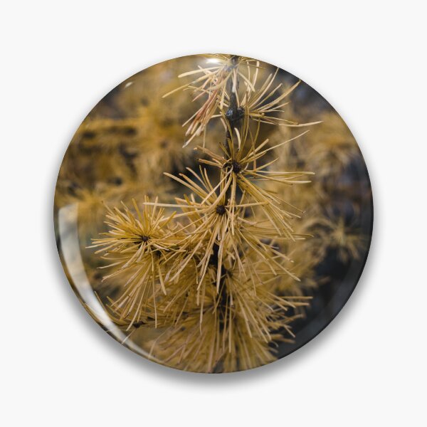Item preview, Pine needles in the fall designed and sold by CanadianWild418.