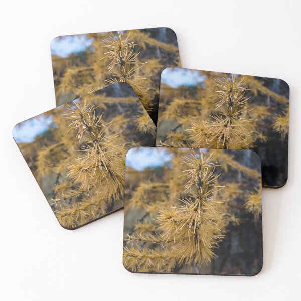 Item preview, Pine needles in the fall designed and sold by CanadianWild418.