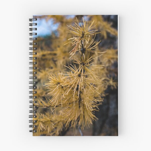 Item preview, Pine needles in the fall designed and sold by CanadianWild418.