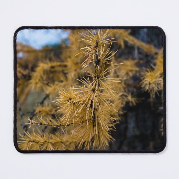 Item preview, Pine needles in the fall designed and sold by CanadianWild418.