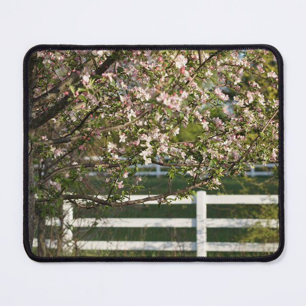 Item preview, apple in bloom  designed and sold by distracted.