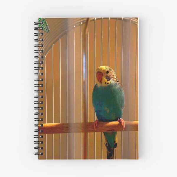 Item preview, Happy Parrot  designed and sold by ontological.