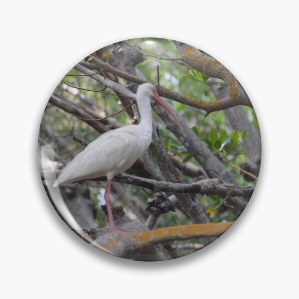 Item preview, Ibis in the Mangroves designed and sold by JoyStar's Story.