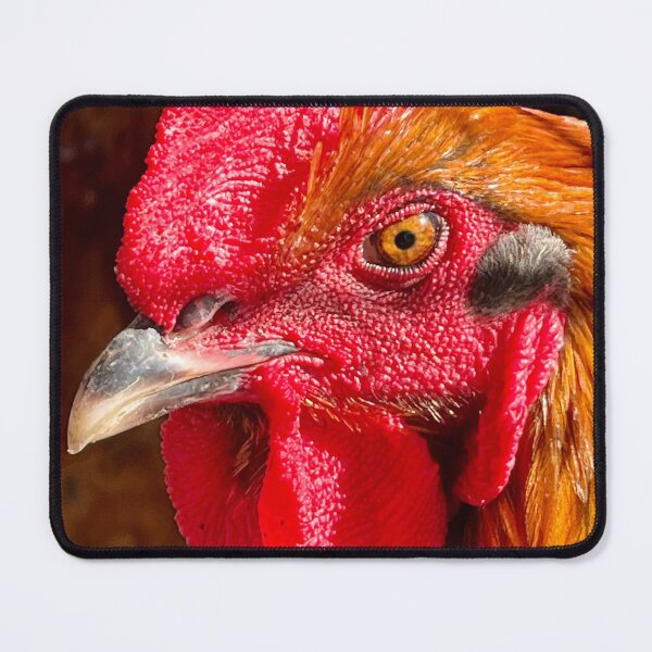 Item preview, Rooster looking at your up close designed and sold by grygiel5.