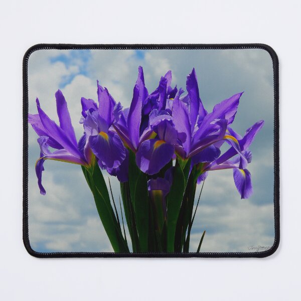 Item preview, "Purple Iris" designed and sold by StudioYama.