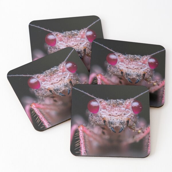 Item preview, Scarlet Stare designed and sold by CHCOfficial.