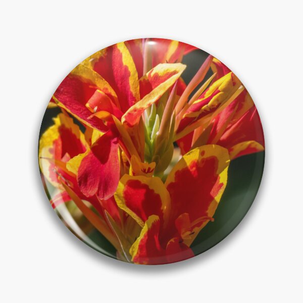 Item preview, Canna lily designed and sold by johkar-photos.
