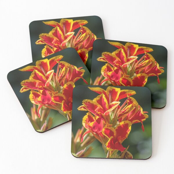 Item preview, Canna lily designed and sold by johkar-photos.
