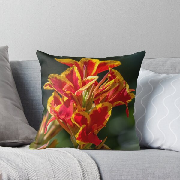 Item preview, Canna lily designed and sold by johkar-photos.