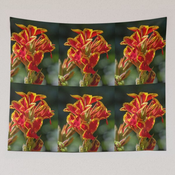 Item preview, Canna lily designed and sold by johkar-photos.
