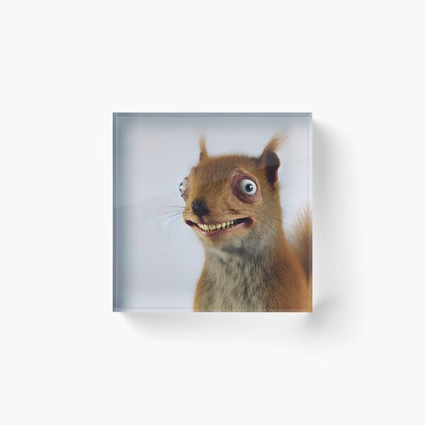 Item preview, The Squirrel's Startling Stare designed and sold by ArtPrintsUSA.