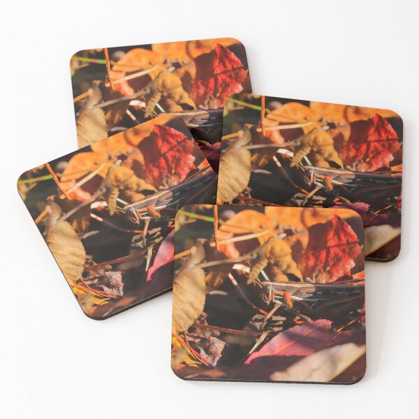 Item preview, Grasshoppers designed and sold by Parks and X.