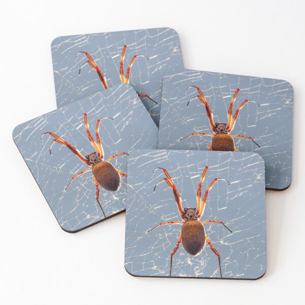 Item preview, Australian Orb spider designed and sold by johkar-photos.
