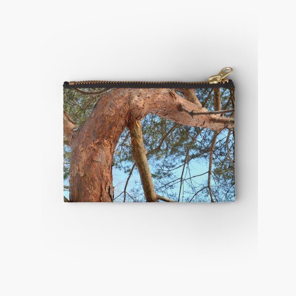 Item preview, Pino silvestre designed and sold by PlaidPancakes.