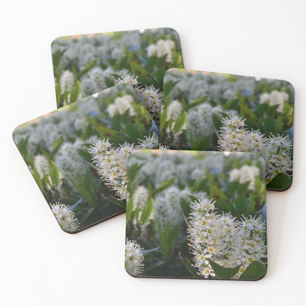 Item preview, Cherry-laurel flowers designed and sold by PlaidPancakes.