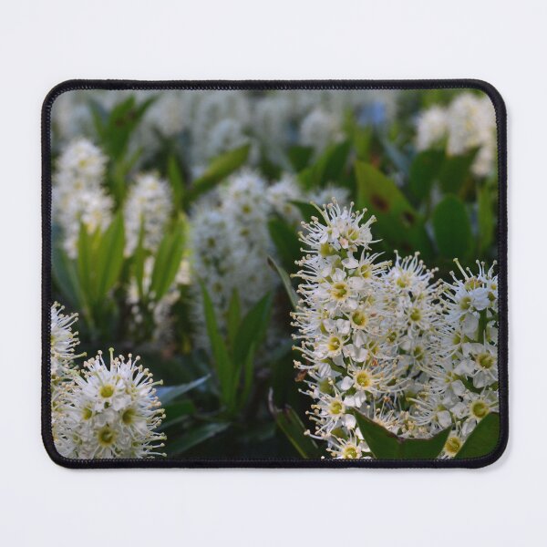 Item preview, Cherry-laurel flowers designed and sold by PlaidPancakes.