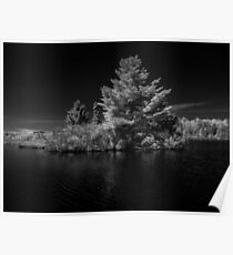 Lake Magog Poster