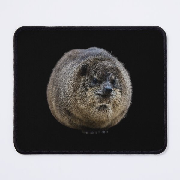 Item preview, Hyrax Coquette or Croquette? designed and sold by matchamoonshop.