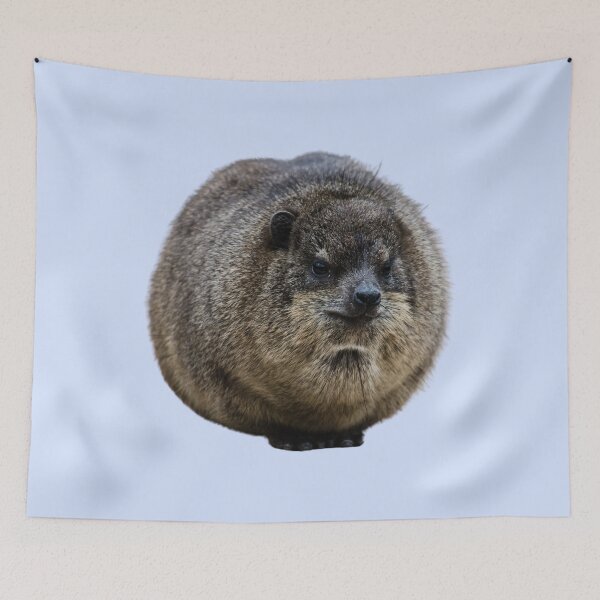Item preview, Hyrax Coquette or Croquette? designed and sold by matchamoonshop.
