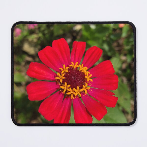Item preview, beautiful red flower designed and sold by FashionCatwalk.