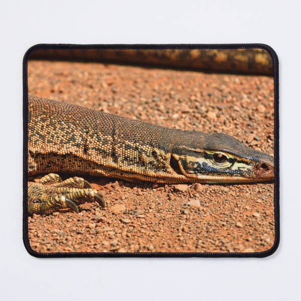 Item preview, Lace Monitor  designed and sold by photograham.