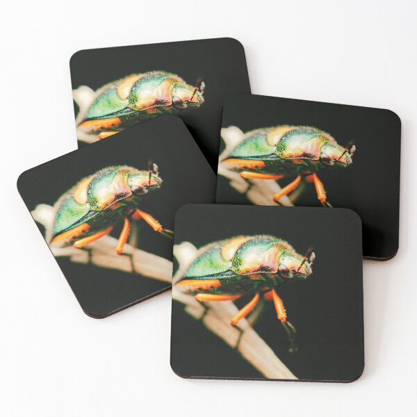Item preview, Jewel Bug designed and sold by robdanimalphotography.