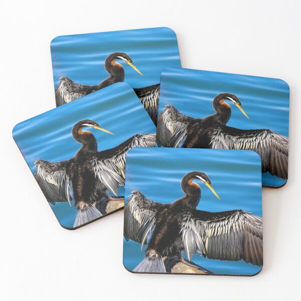 Item preview, Darter Bird Tuncurry 5274 designed and sold by kevin Chippindall.