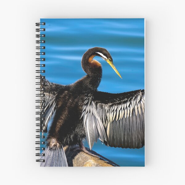 Item preview, Darter Bird Tuncurry 5274 designed and sold by kevin Chippindall.