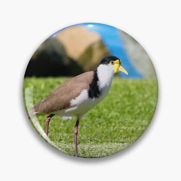 Item preview, Plover bird 93 designed and sold by kevin Chippindall.