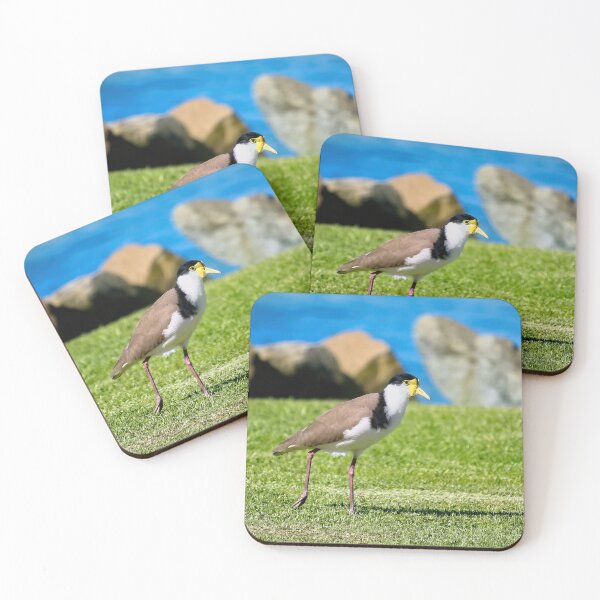 Item preview, Plover bird 93 designed and sold by kevin Chippindall.
