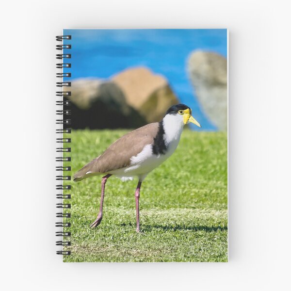 Item preview, Plover bird 93 designed and sold by kevin Chippindall.