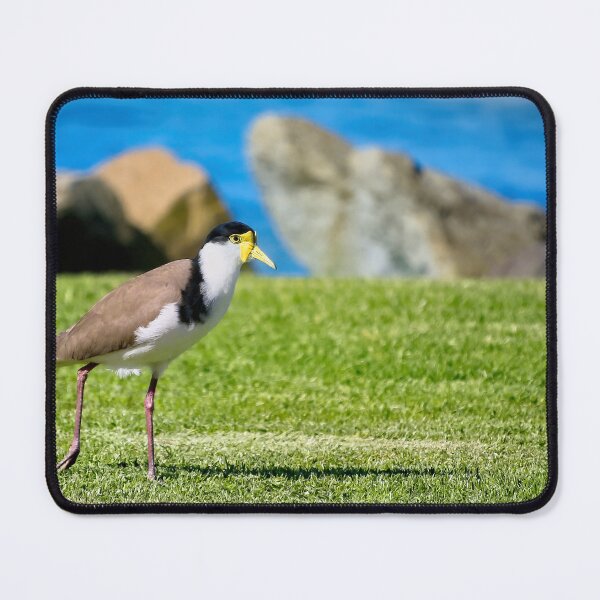 Item preview, Plover bird 93 designed and sold by kevin Chippindall.
