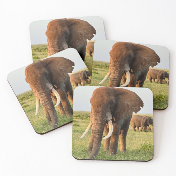Item preview, Amboseli National Park designed and sold by Unlikely journey .