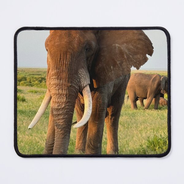 Item preview, Amboseli National Park designed and sold by Unlikely journey .