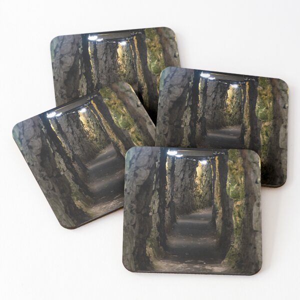 Item preview, Inside a Tunnel at Vimy Ridge, France designed and sold by jrtwynam.